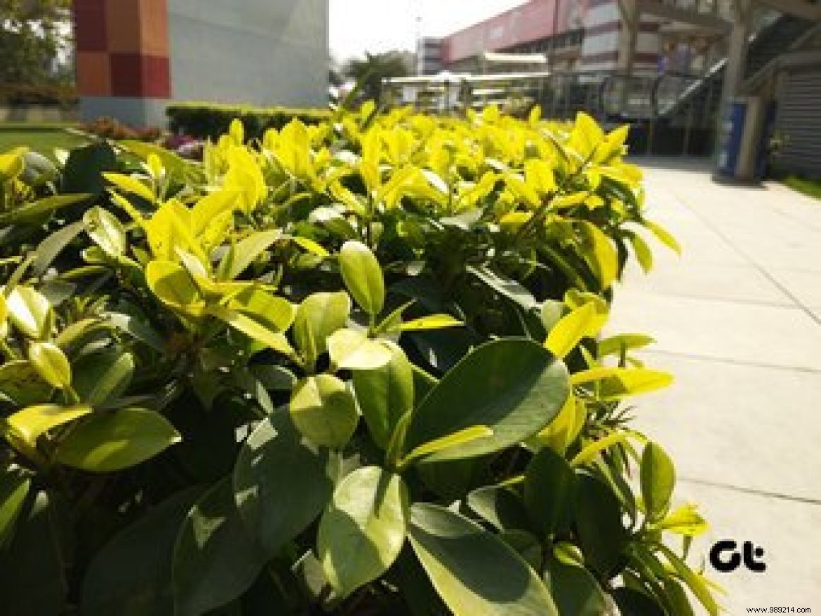 7 Expert Camera Tips for Xiaomi Redmi Note 5: Maximize Your Photography