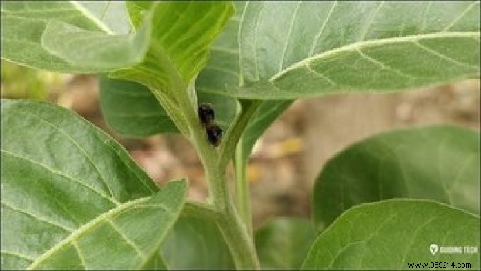 11 Expert OnePlus 5 Camera Tips and Tricks for Stunning Photos