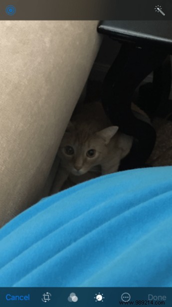 5 Overlooked iOS 10 Features Every iPhone User Needs to Know