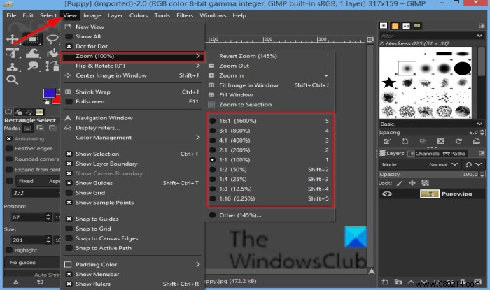 How to Zoom In and Out in GIMP: 8 Essential Methods for Better Editing