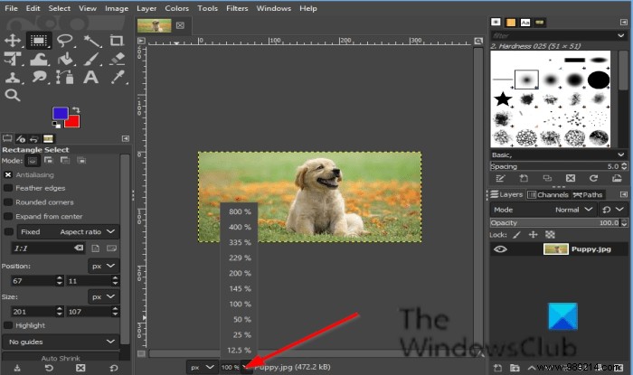 How to Zoom In and Out in GIMP: 8 Essential Methods for Better Editing
