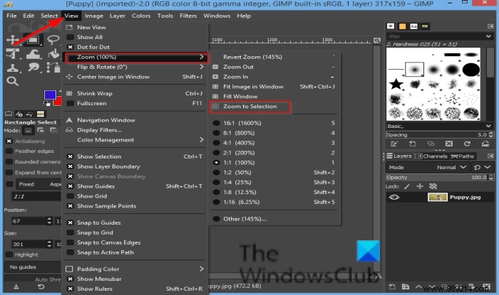How to Zoom In and Out in GIMP: 8 Essential Methods for Better Editing