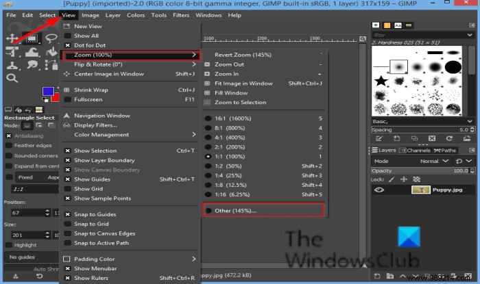 How to Zoom In and Out in GIMP: 8 Essential Methods for Better Editing