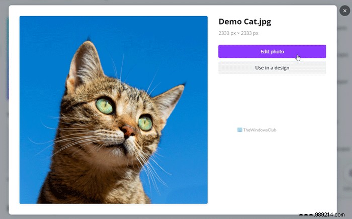 How to Effortlessly Remove Image Backgrounds Using Canva s AI Background Remover
