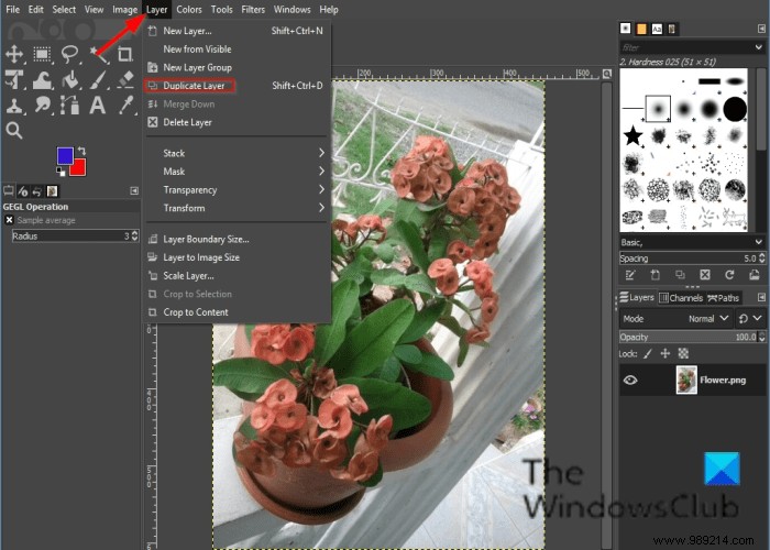 Mastering GIMP Enhance Filters: Step-by-Step Guide from a Pro User