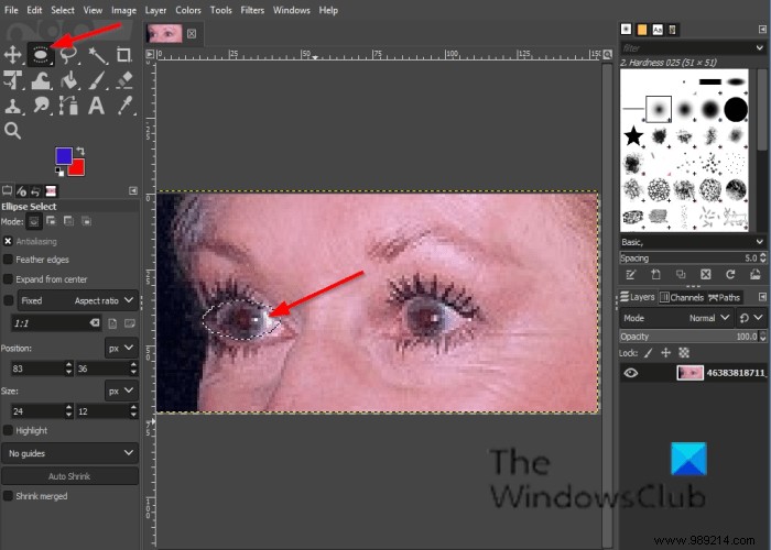 Mastering GIMP Enhance Filters: Step-by-Step Guide from a Pro User