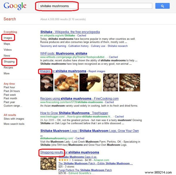 Proven Voice, Visual, and Vertical Search Strategies to Outperform Competitors