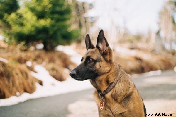 11 Proven Online and Offline Business Ideas to Launch with Zero Upfront Costs