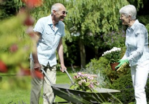 Smart Business Ideas for Retired Couples: Leverage Experience for Profit and Purpose