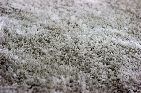 10 Essential Questions to Ask Your Commercial Leasing Agent Before Renting Office Space