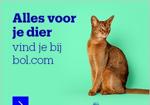 10 Best Desk Stretches to Combat Prolonged Sitting and Boost Posture