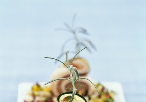 Elegant Sole Rolls with Eggplant Caviar and Ratatouille