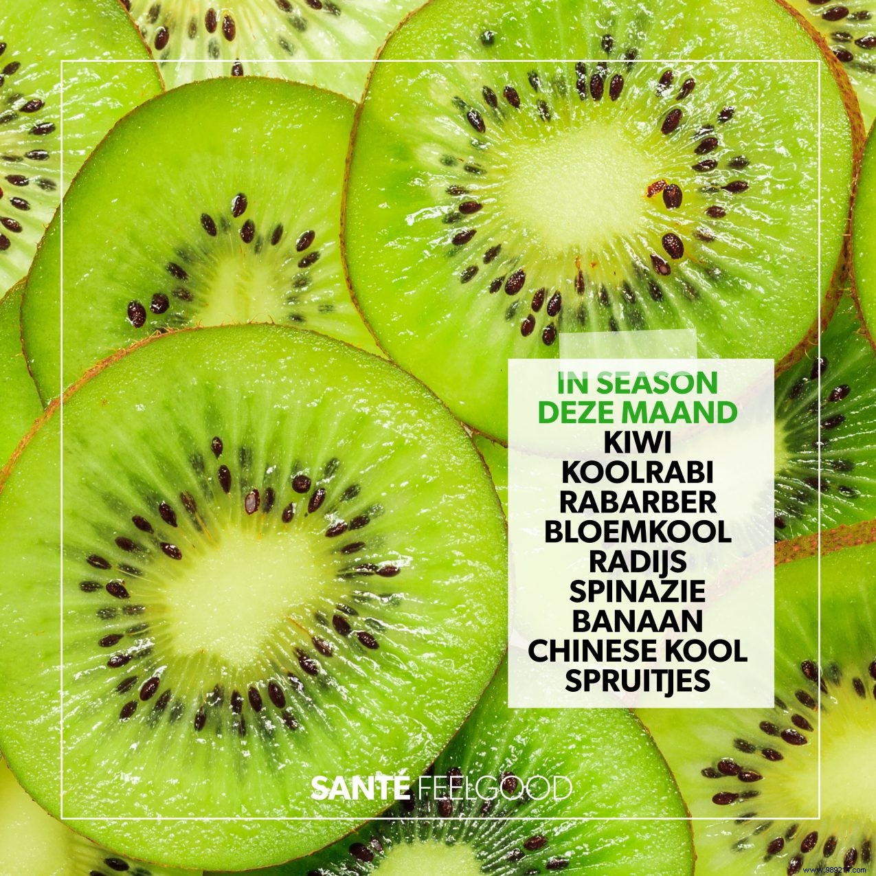 May s Top Seasonal Produce: Fresh Picks for Your Shopping Cart