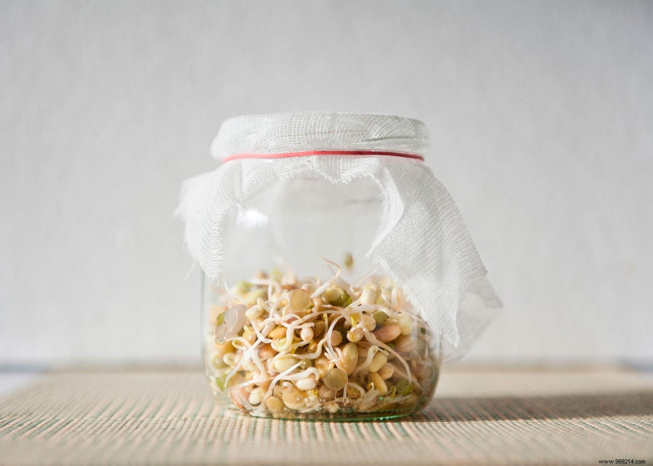 How to Grow Fresh Sprouts at Home: Simple Expert Guide