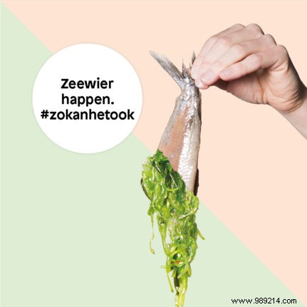 It Can Be Done: Simple Plant-Based Swaps for a Healthier, Sustainable Diet