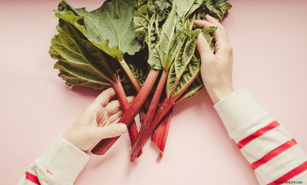 June s Best Seasonal Produce: Fresh Picks for Your Table