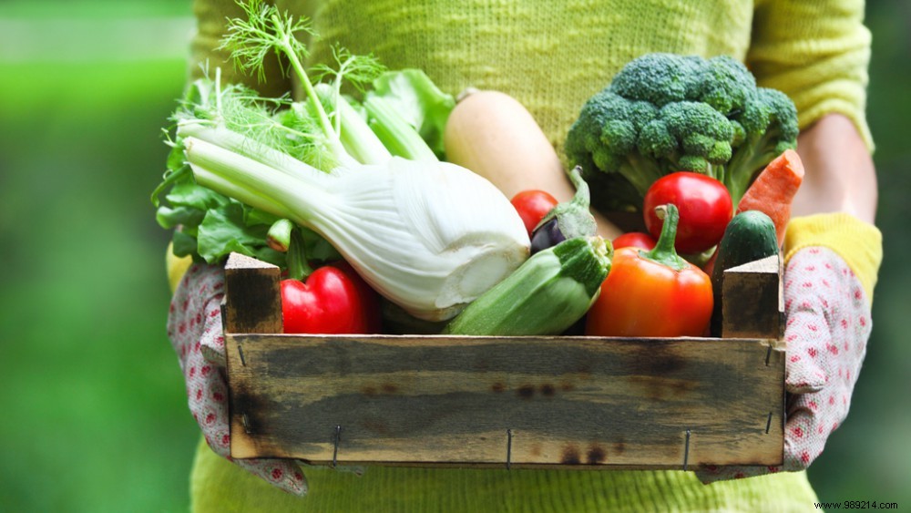 Easy Red Bell Pepper Dip: Healthy Snack Recipe for Guests