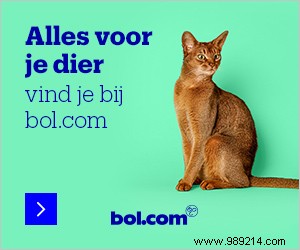 How Often Should You Get a Haircut? Expert Tips for Healthier Hair