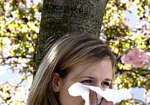 Mediterranean Diet Reduces Hay Fever in Greek Youth: Study Insights