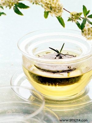 How Green Tea Shields DNA from Damage and Slows Aging: Science-Backed Insights
