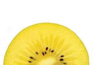 Yellow Kiwis Reduce Cold Symptoms in Seniors: New Zealand Study Reveals Benefits