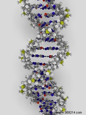 Father s Smoking Harms Child s DNA, Maastricht University Study Shows