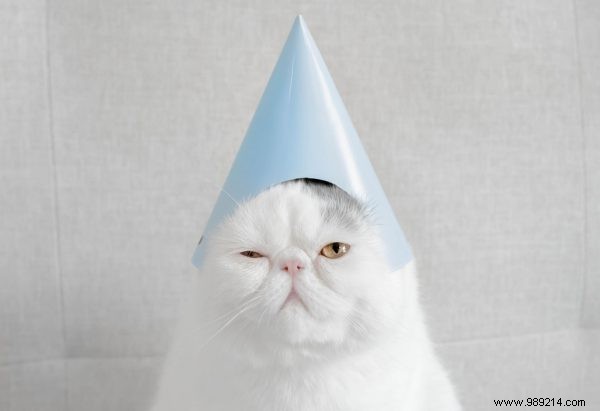 Science Reveals Sprite as the Top Hangover Remedy Among 60 Drinks