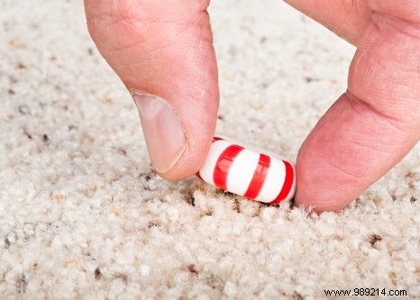 Does the 5-Second Rule Really Work? What Science Reveals About Dropped Food