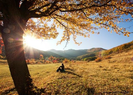 Boost Your Vitamin D: Why More Outdoor Time is Essential, Especially October to March