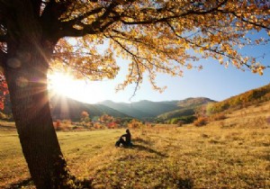 Boost Your Vitamin D: Why More Outdoor Time is Essential, Especially October to March