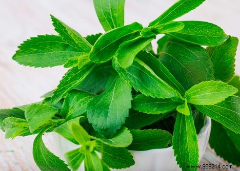 6 Surprising Facts About Stevia: Insights from a Natural Sweetener Expert