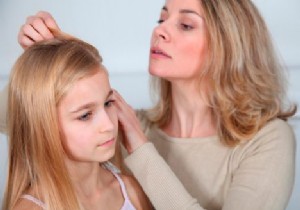 Key Facts About Head Lice: Detection, Prevention, and Effective Removal