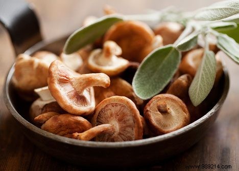Daily Shiitake Mushrooms Strengthen Immunity: University of Florida Study Reveals Key Benefits