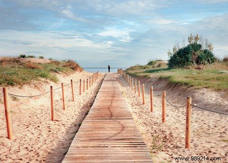 Beach Walks Unlock 47 Extra Minutes of Sleep: Backed by Research