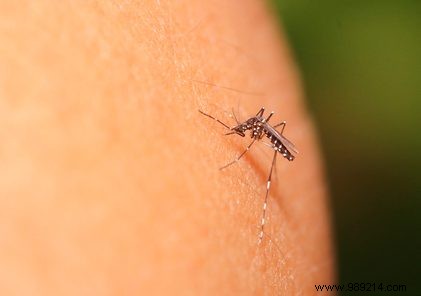 Zika Virus Explained: 5 Key Questions on Risks, Symptoms, and Prevention