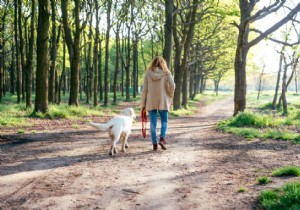 Walk with Your Neighbor s Dog: Ideal for Busy Lives and Dog Lovers