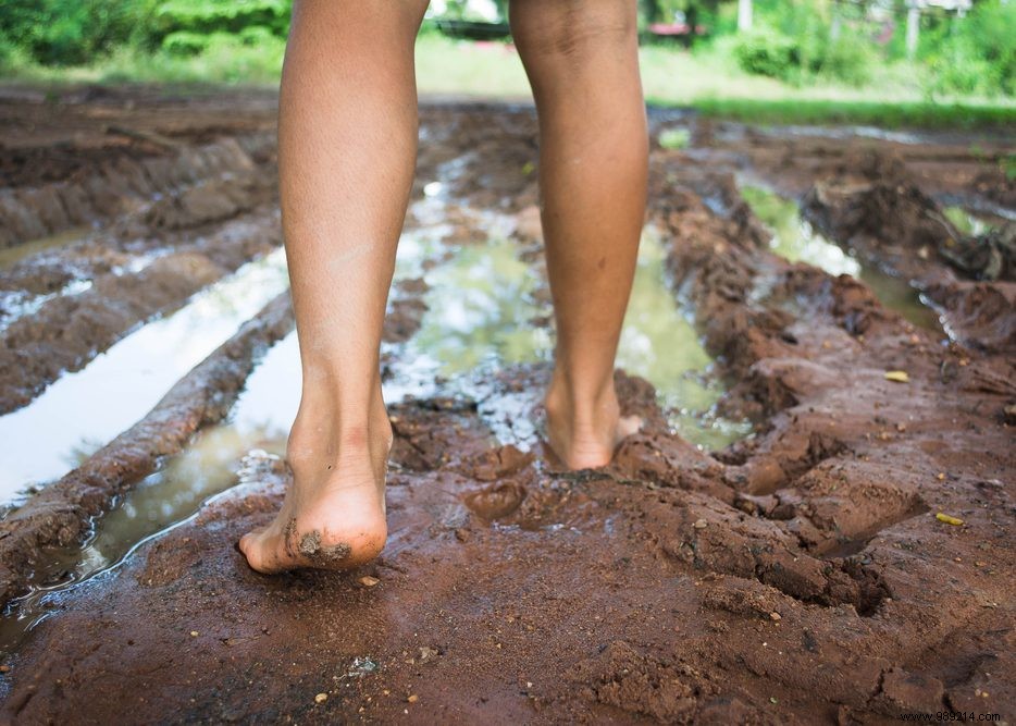 Discover 5 Exceptional Barefoot Trails in the Netherlands and Belgium