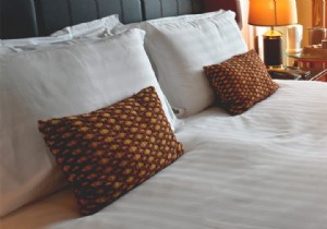 How to Spot and Avoid Bed Bugs While Traveling: Expert Prevention Tips