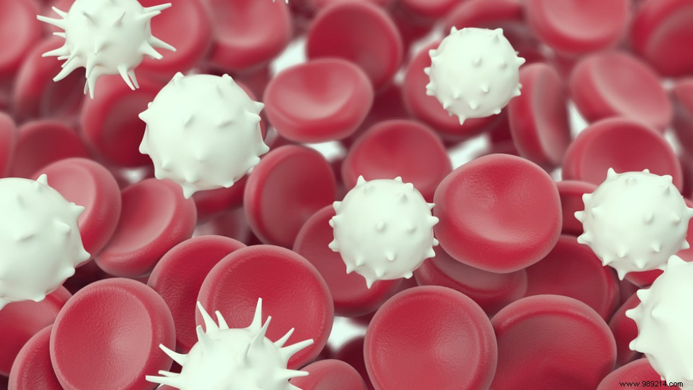 Fascinating Blood Facts: The Vital Role of Blood in Your Body