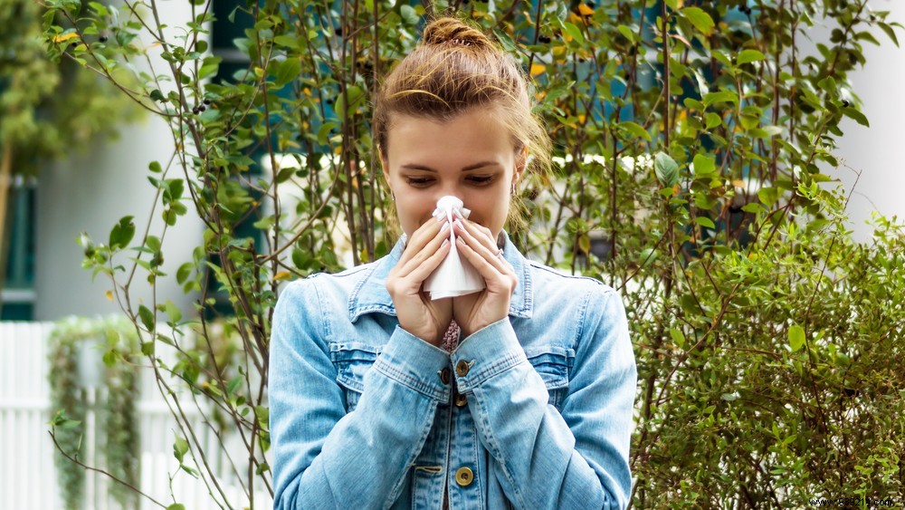 Hay Fever Warning: High Mugwort Pollen Levels Set to Challenge Allergy Sufferers This Week