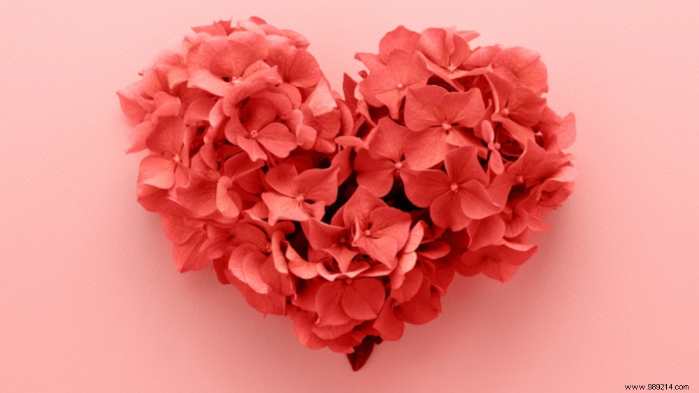 Protect Your Heart: 3 Key Questions Answered by a Heart Foundation Expert