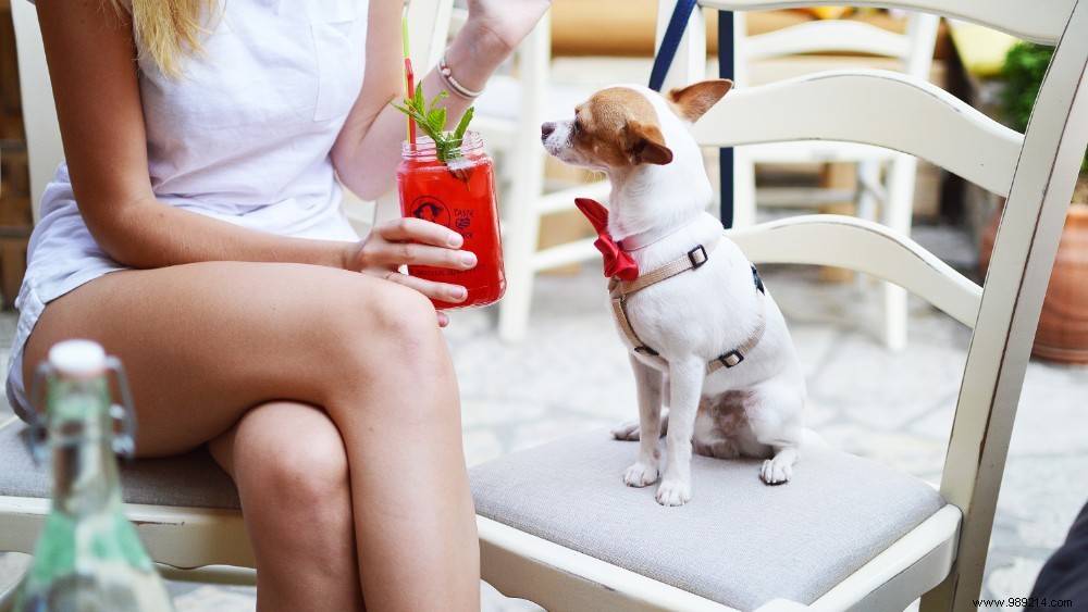 Is Crossing Your Legs Bad for Your Health? Expert Insights on Posture and Risks