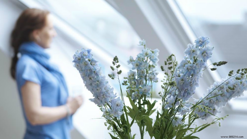 How Daylight and Fresh Air Transform Your Health and Well-Being