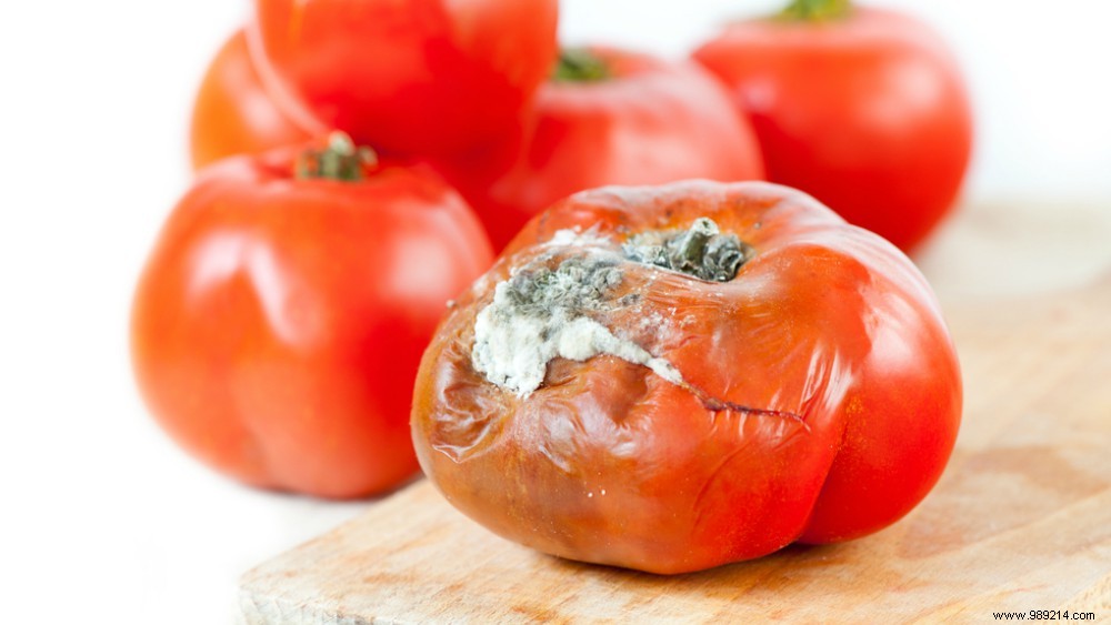 Is It Safe to Eat Moldy Food? Expert Tips on Cheese, Bread, and Vegetables