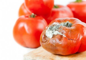 Is It Safe to Eat Moldy Food? Expert Tips on Cheese, Bread, and Vegetables