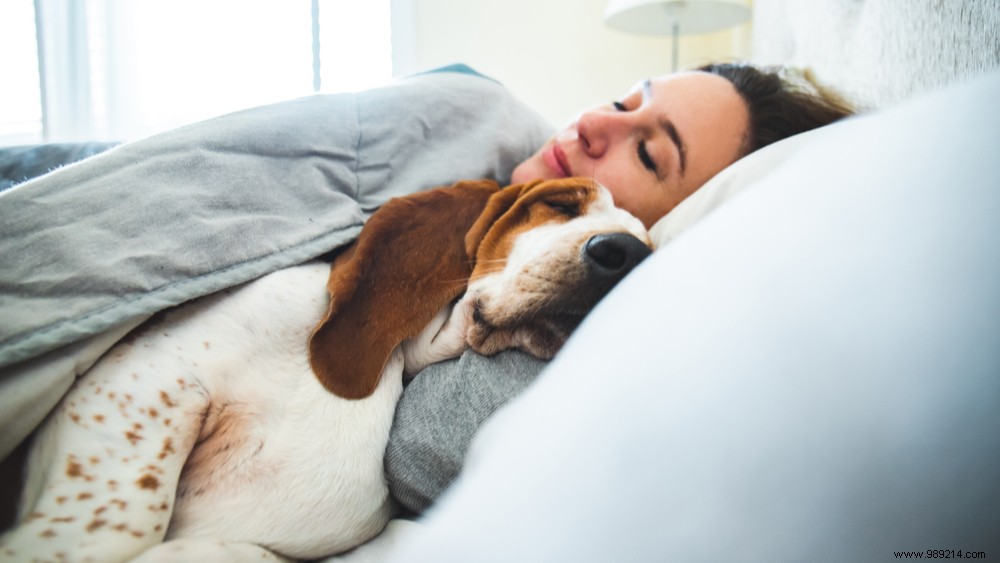 Should You Share Your Bed with Your Pet? Sleep Benefits and Serious Eye Risks