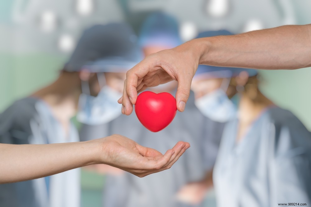 Organ Donation in the Netherlands: Which Groups Are Most Likely to Register?
