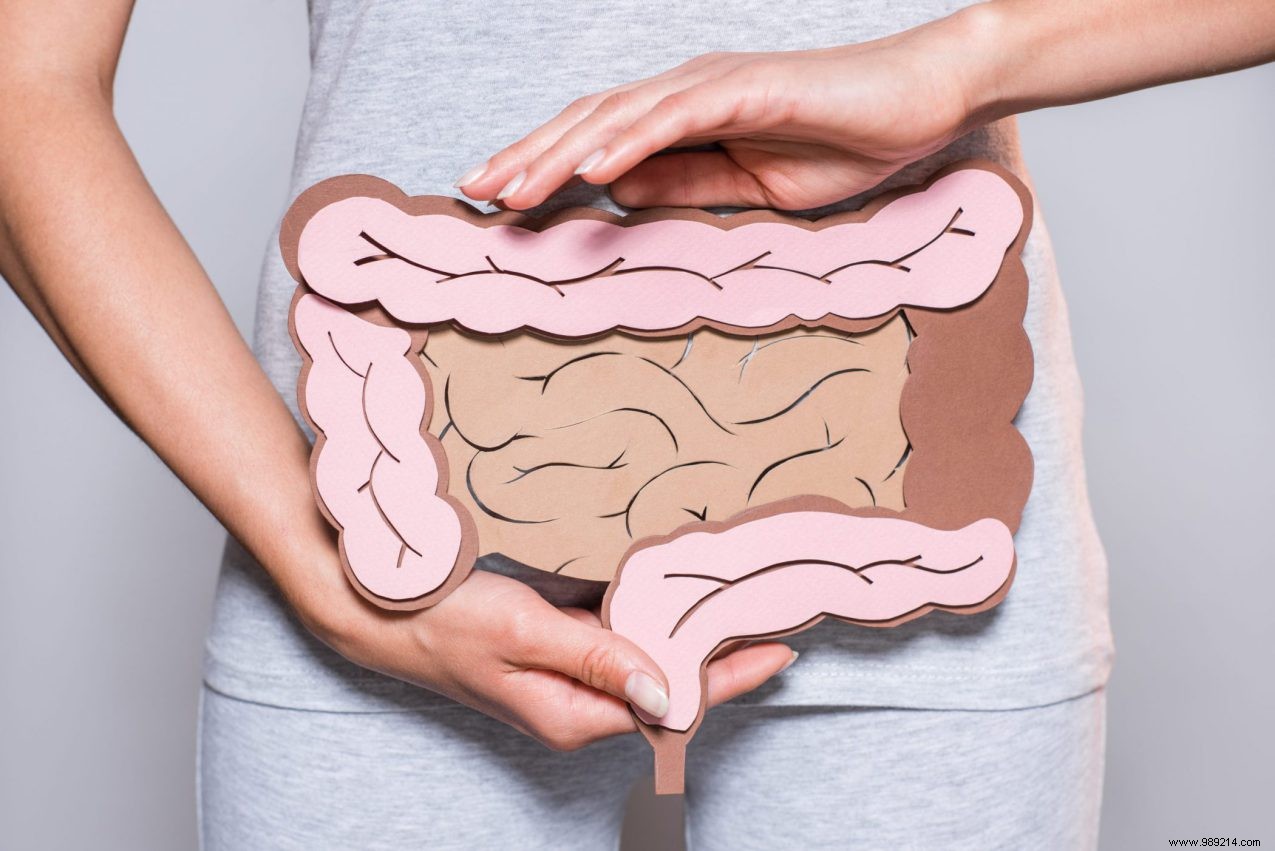 How Your Intestines Work: A Deep Dive into Digestion and Nutrient Absorption