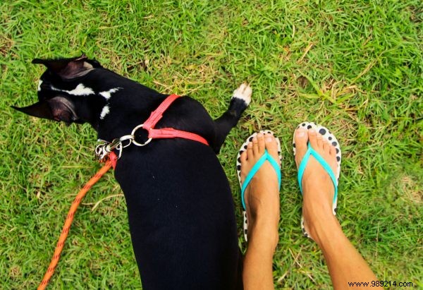 Podiatrist Q&A: Is Walking Long Distances in Flip-Flops Really That Bad?