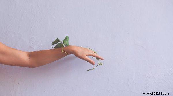 Heat Rash Explained: Those Itchy Bumps and Blisters on Hot Days